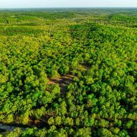 169 - Acres Hunters Paradise Pond Creek Poughkeepsie Arkansas images 4