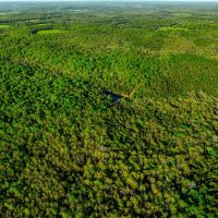 169 - Acres Hunters Paradise Pond Creek Poughkeepsie Arkansas images 5