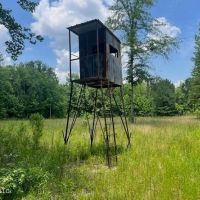 100 Acres in Madison County Mississippi