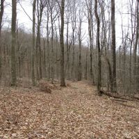 Secluded Acres