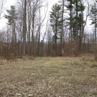Secluded Acres images 2