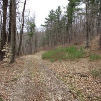 Secluded Acres images 3