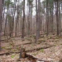 Secluded Acres images 4