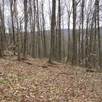 Secluded Acres images 5