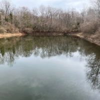 95 Acres Poplar Road Clymer PA. 15728