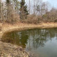 95 Acres Poplar Road Clymer PA. 15728 images 2