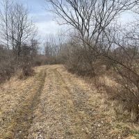 95 Acres Poplar Road Clymer PA. 15728 images 4