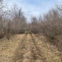 95 Acres Poplar Road Clymer PA. 15728 images 5