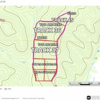 Young Timber Tract 38 D images 4
