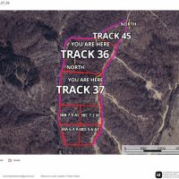 Young Timber Tract 38 D images 5