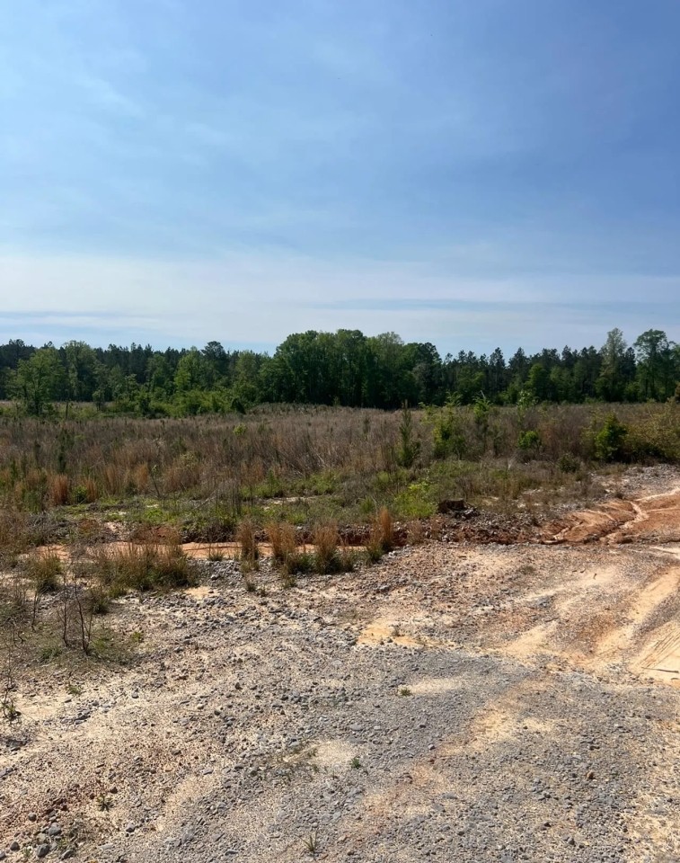 Jackson Parish Timber Tract 5A featured image