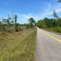 Jackson Parish Timber Tract 5A images 4