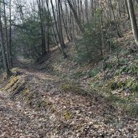 Bloom Road - Somerset - Hooversville - 23.69 images 5