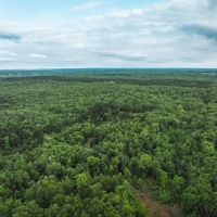Red Barn Lodge Acres-Tract 2 images 4