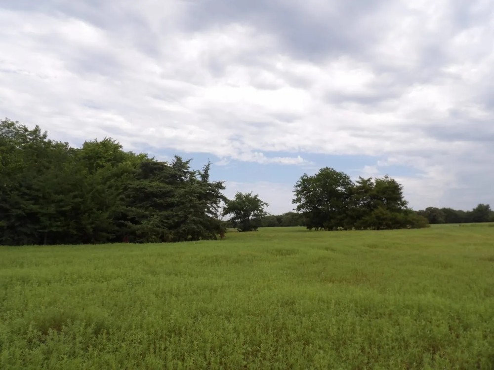 589 ACRE REACREATIONAL AND MULTI USE LAND featured image