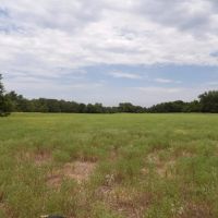 589 ACRE REACREATIONAL AND MULTI USE LAND images 2