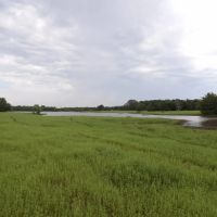 589 ACRE REACREATIONAL AND MULTI USE LAND images 3