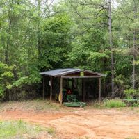 99 acres in Autauga County with Cabin images 3