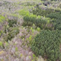 44.81 acres of Recreational and Residential Land For Sale in Halifax County VA images 2