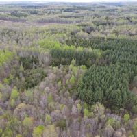 44.81 acres of Recreational and Residential Land For Sale in Halifax County VA images 3