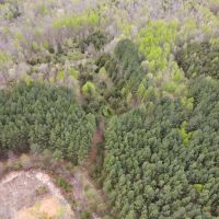44.81 acres of Recreational and Residential Land For Sale in Halifax County VA images 4