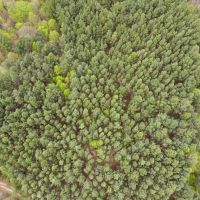 44.81 acres of Recreational and Residential Land For Sale in Halifax County VA images 5