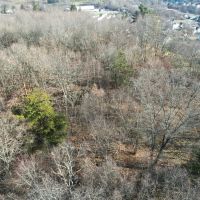 Tenan St. Washington County - 25 - acres images 3