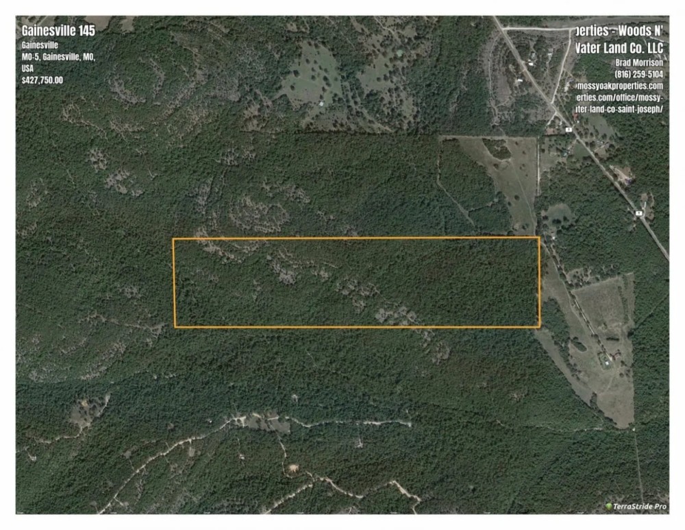 Secluded Ozark County Hunting Acreage featured image