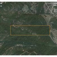 Secluded Ozark County Hunting Acreage