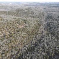 Secluded Ozark County Hunting Acreage images 2