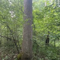 0 Dunmire road Punxsutawney