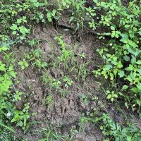 0 Dunmire road Punxsutawney images 3
