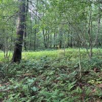 0 Dunmire road Punxsutawney images 4
