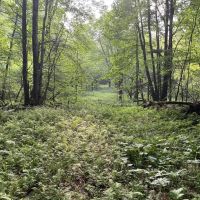 0 Dunmire road Punxsutawney images 5