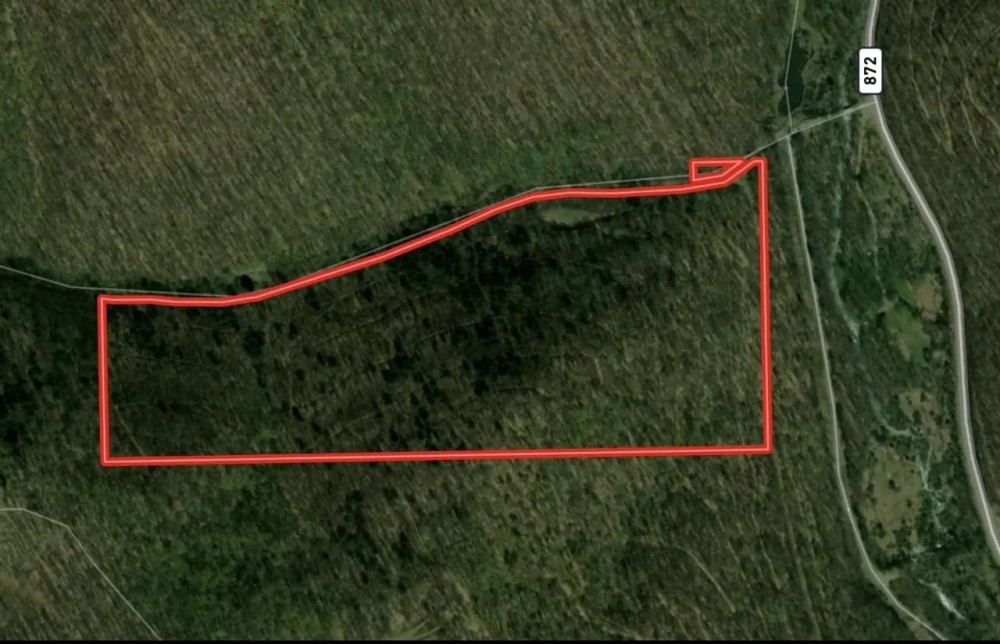 POTTER COUNTY - 61 - ACRES - STATE RD 872 Jones Run Rd featured image