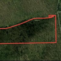 POTTER COUNTY - 61 - ACRES - STATE RD 872 Jones Run Rd