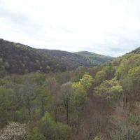 POTTER COUNTY - 61 - ACRES - STATE RD 872 Jones Run Rd images 2