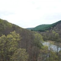 POTTER COUNTY - 61 - ACRES - STATE RD 872 Jones Run Rd images 3