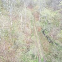 POTTER COUNTY - 61 - ACRES - STATE RD 872 Jones Run Rd images 5