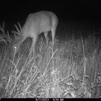 Iowa Hunting Lease 1st, 2nd Shotgun Season or Muzzel loader Zone 5