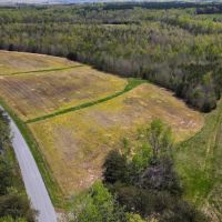 34.38 acres of Agricultural and Recreational Land For Sale in Halifax County VA images 3
