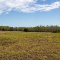 34.38 acres of Agricultural and Recreational Land For Sale in Halifax County VA images 5