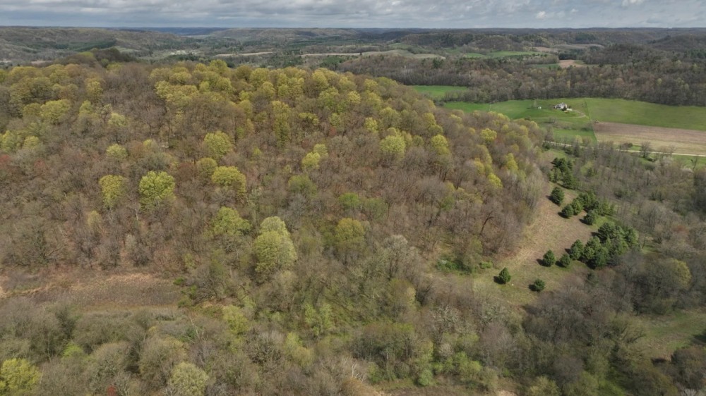 Hunting Land for sale in Richland County Wisconsin featured image