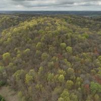 Hunting Land for sale in Richland County Wisconsin images 4