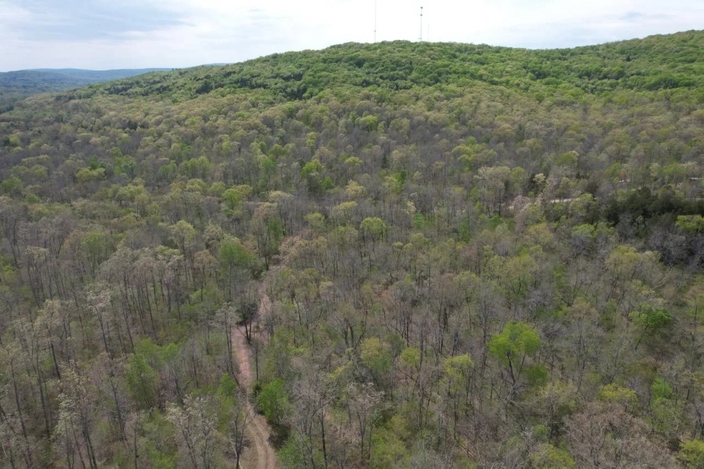 25 Acres Hunting Cabin featured image