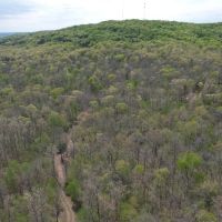 25 Acres Hunting Cabin