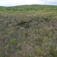 25 Acres Hunting Cabin images 2