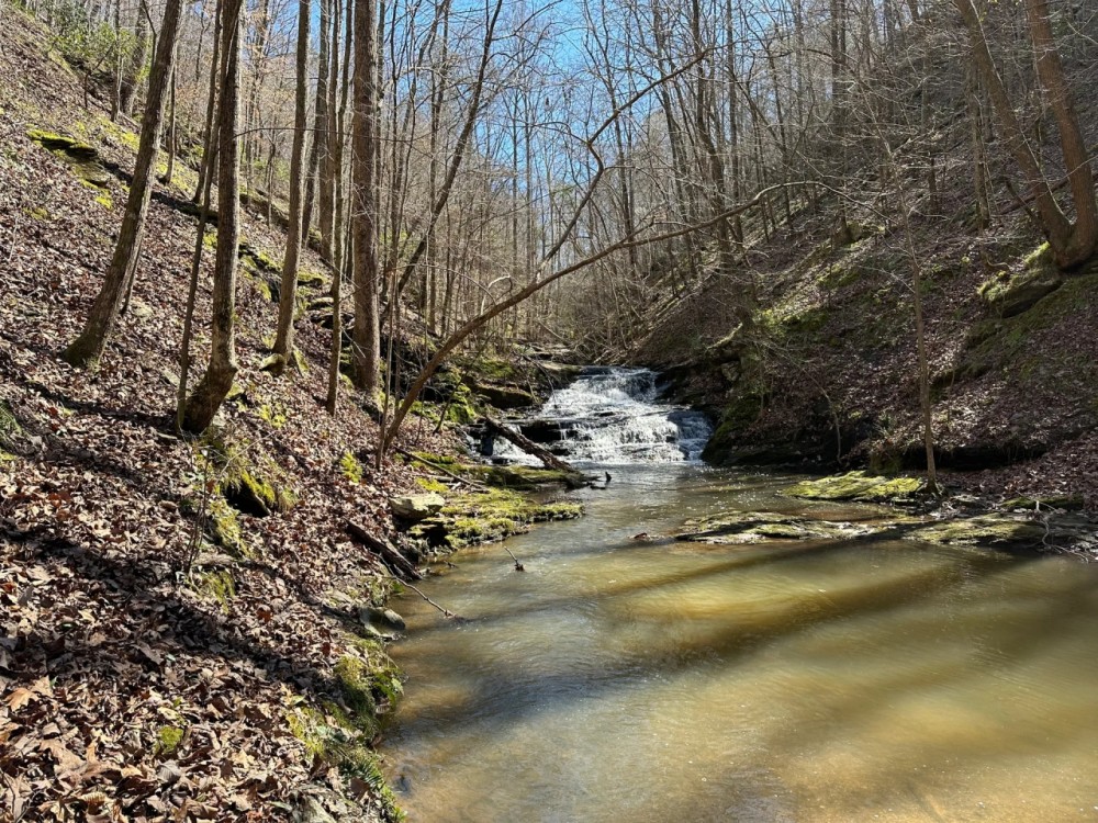 Paris Mountain 71 acres featured image