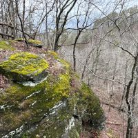 Paris Mountain 71 acres images 2