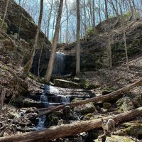 Paris Mountain 71 acres images 3